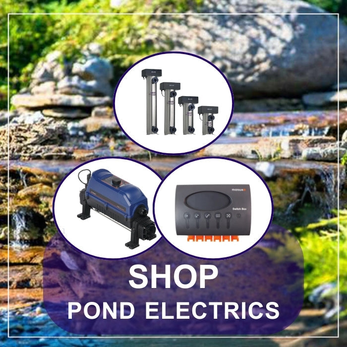 Pond Electrics Pond Electrics