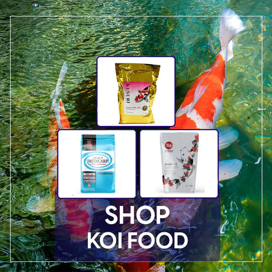 Koi Food Koi Food