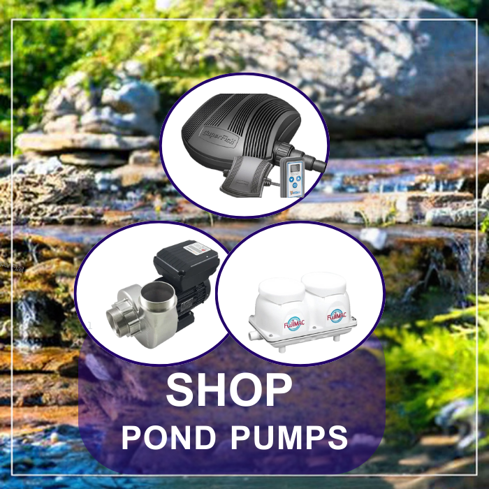 Pond Pumps Pond Pumps
