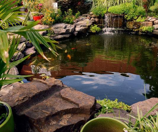 How to Plan Your Koi Pond Water Changes